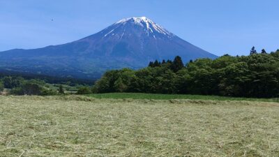 ほっと一息☕Photo Book 　🗻と牧草