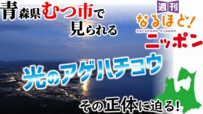 青森県むつ市で見られる『光のアゲハチョウ』、その正体に迫る！