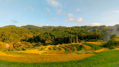 郷さん3日目(^o^)