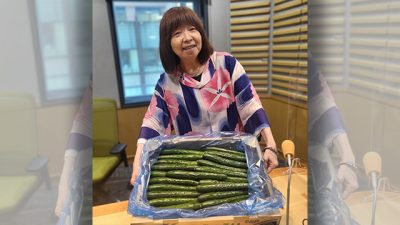 暑い夏には、キュウリビズ🥒