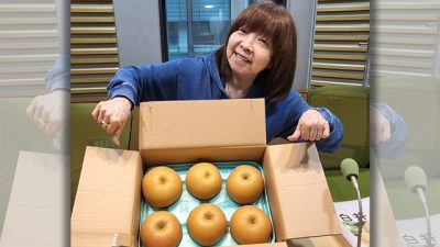 どうか、どうか、ご安全に🥺