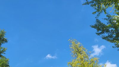 ギュギュッと短縮生放送！