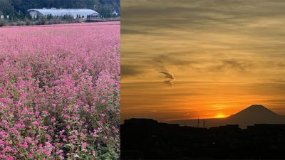 ほっと一息☕Photo Book　作ったわけではないのに…