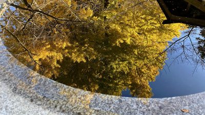 紅葉真っ盛り！