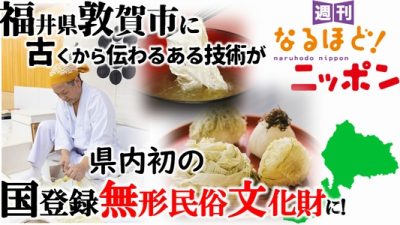福井県敦賀市に古くから伝わるある技術が県内初の国登録無形民俗文化財に！