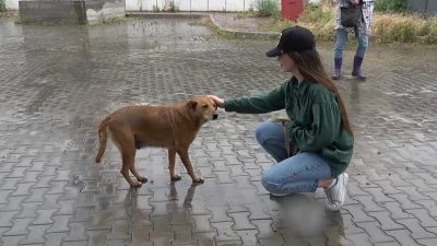 サンデー早起キネマ『犬と戦争　ウクライナで私が見たこと』
