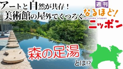 アートと自然が共存！　美術館の屋外でくつろぐ『森の足湯』とは!?