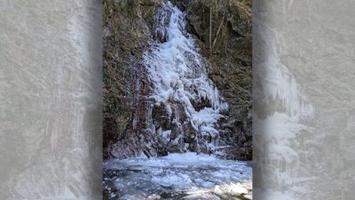 あさぼらけ写真館　冬の便りと春の便り