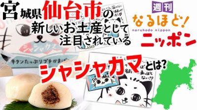 宮城県仙台市の新しいお土産として注目されている『シャシャカマ』とは？