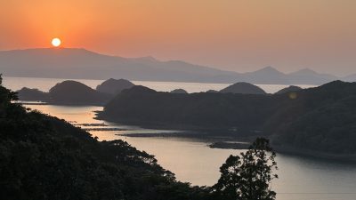 出るか？　開花宣言！