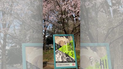 お花見と一緒に楽しめる展覧会