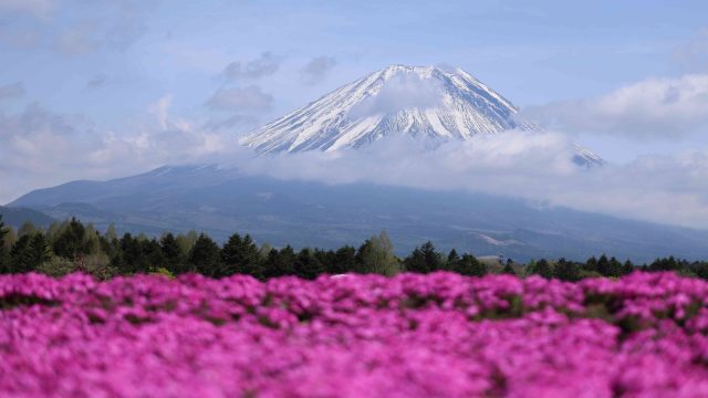 GW明けの水曜日