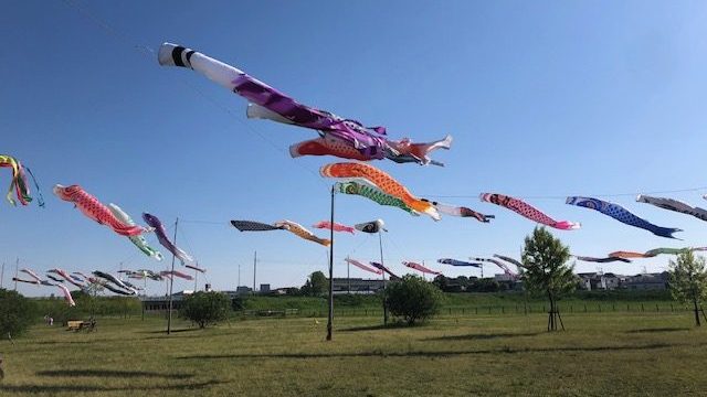 あさぼらけ写真館（こいのぼり）