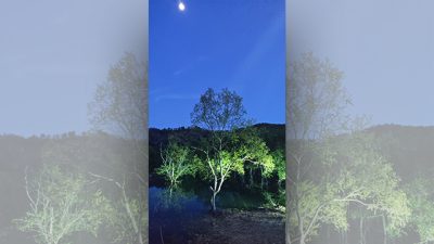 あさぼらけ写真館