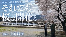 大船渡山林火災特番