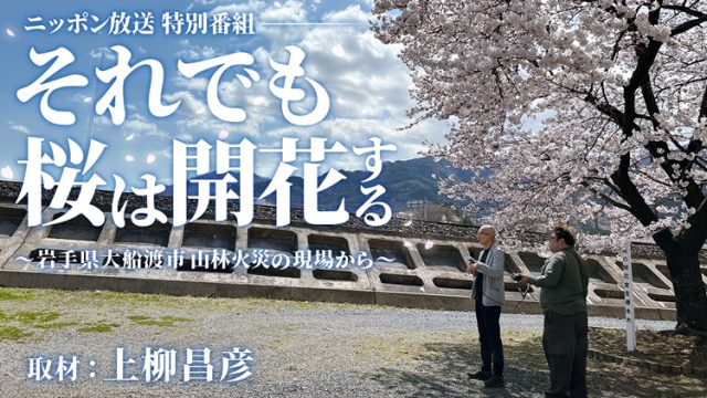 『それでも桜は開花する～岩手県大船渡市 山林火災の現場から～』5月25日（日）に放送