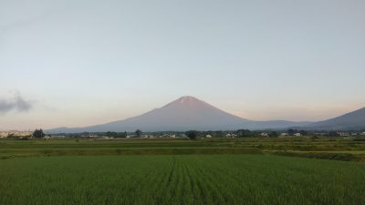 紅富士