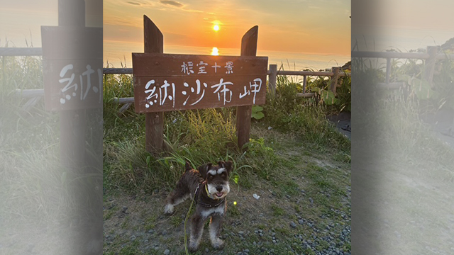あさぼらけ写真館…暑い北海道から