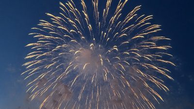 夏の出来事、総決算