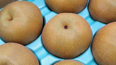 31日は「お気に入り! 夏のメロディ♪」