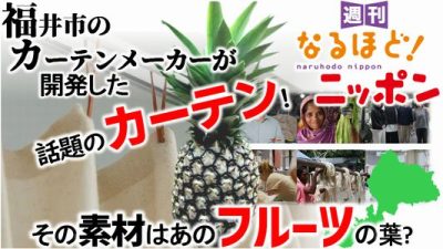 福井市のカーテンメーカーが開発した話題のカーテン！　その素材はあのフルーツの葉？