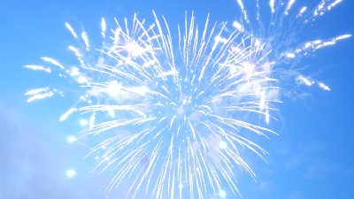 千葉の梨「豊水」で言うことナシ