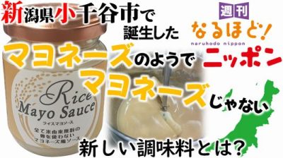 新潟県小千谷市で誕生した『マヨネーズのようでマヨネーズじゃない』新しい調味料とは？