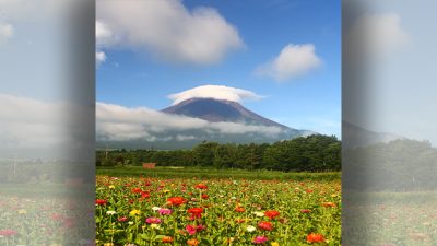 あさぼらけ写真館