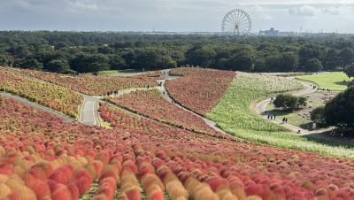 あさぼらけ写真館