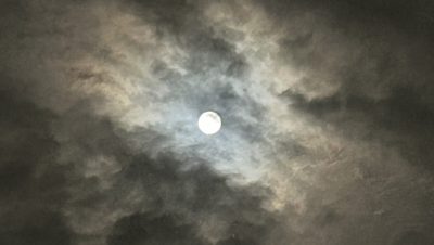 あさぼらけ写真館