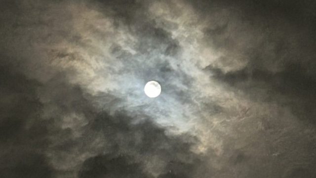 あさぼらけ写真館