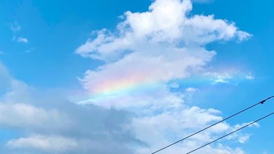 週の真ん中、折り返し！