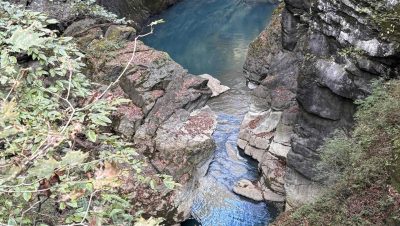 あさぼらけ写真館