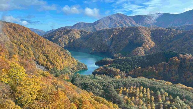 あさぼらけ写真館