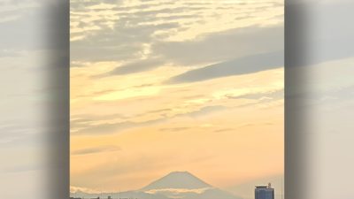 お知らせいろいろ～