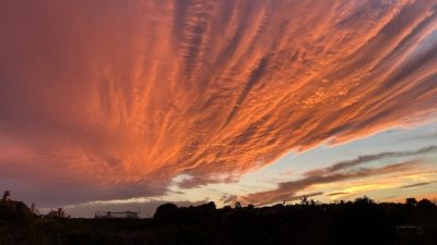 【あさぼらけ写真館】