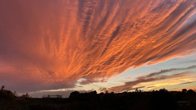 【あさぼらけ写真館】
