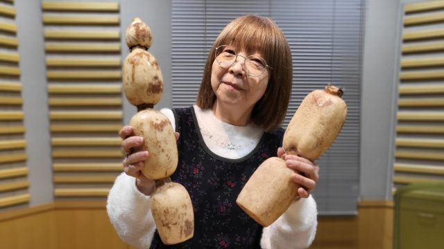 いばらきのれんこんに、ぞっこん♥