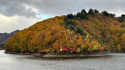 ほっと一息☕Photo Book　日本の秋は紅葉狩り！