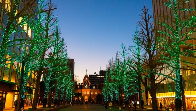 銀世界が待ち遠しい(^o^)