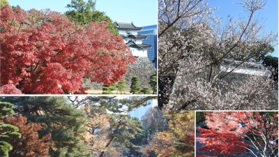 あさぼらけ写真館