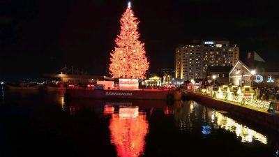 あさぼらけ写真館