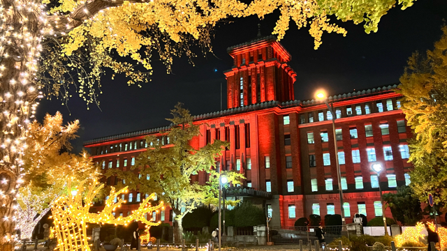 あさぼらけ写真館（日本大通り銀杏並木と神奈川県庁のライトアップ）