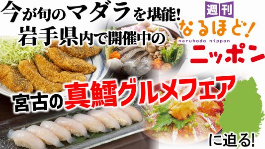 今が旬のマダラを堪能！　岩手県内で開催中の『宮古の真鱈グルメフェア』に迫る！