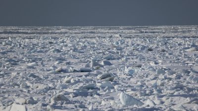 あさぼらけ写真館