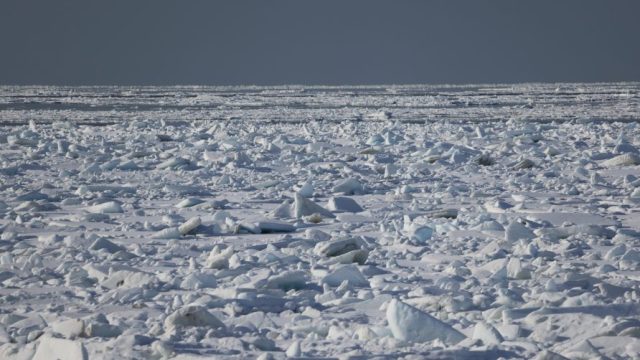 あさぼらけ写真館