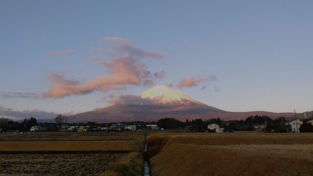 あさぼらけ写真館