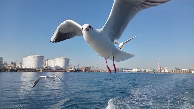 あさぼらけ写真館