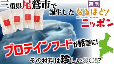三重県尾鷲市で誕生したプロテインフードが話題に! その材料は珍しい○○!?