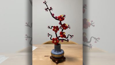 あさぼらけ写真館